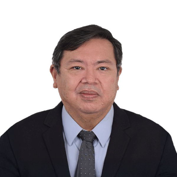 Robert Gerard Nepomuceno