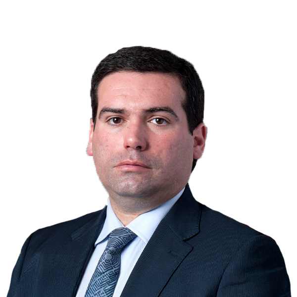 Lourenço Vilhena de Freitas